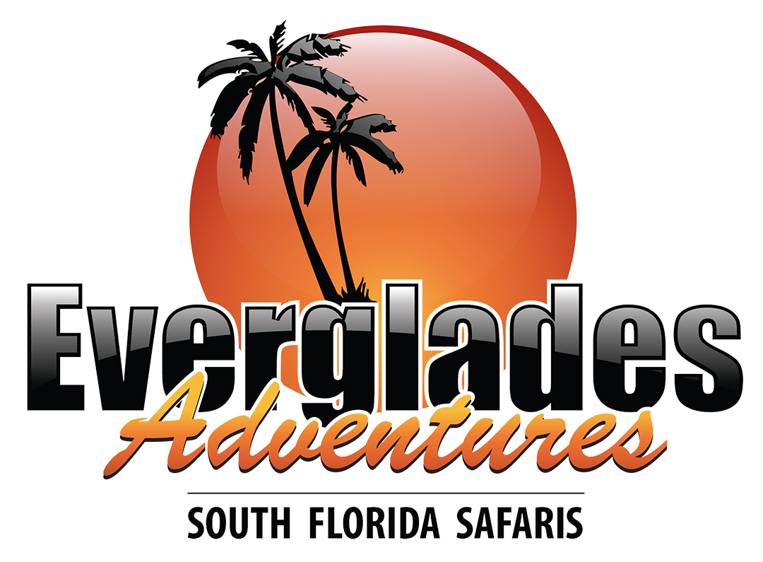 Everglades Adventures