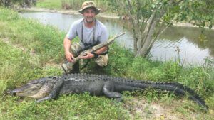 Alligator Hunts Everglades Adventures