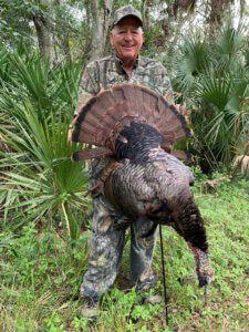 Osceola Turkey Hunts with Everglades Adventures in South Florida